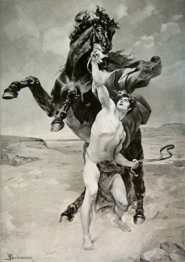 Alexander taming Bucephalus by F. Schommer (late 19th century)